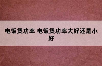 电饭煲功率 电饭煲功率大好还是小好